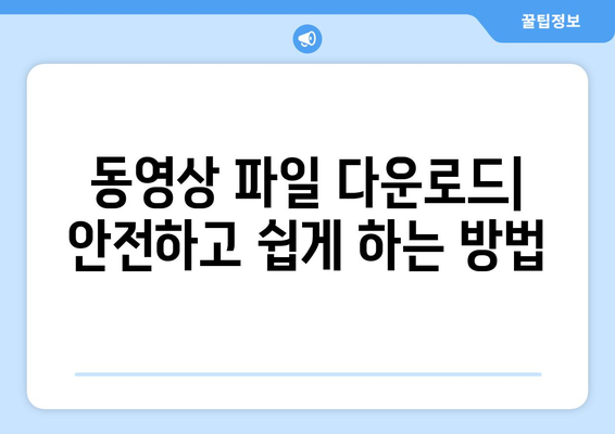 동영상 파일 다운로드