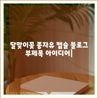 달맞이꽃 종자유 캡슐