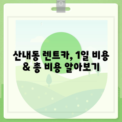 대전시 동구 산내동 렌트카 가격비교 | 리스 | 장기대여 | 1일비용 | 비용 | 소카 | 중고 | 신차 | 1박2일 2024후기