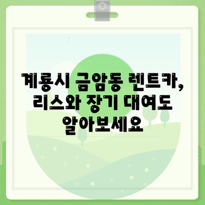 충청남도 계룡시 금암동 렌트카 가격비교 | 리스 | 장기대여 | 1일비용 | 비용 | 소카 | 중고 | 신차 | 1박2일 2024후기