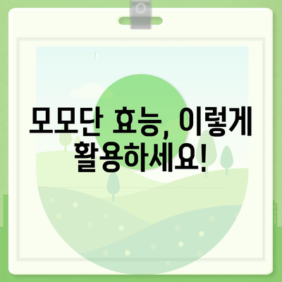 모모단 효능