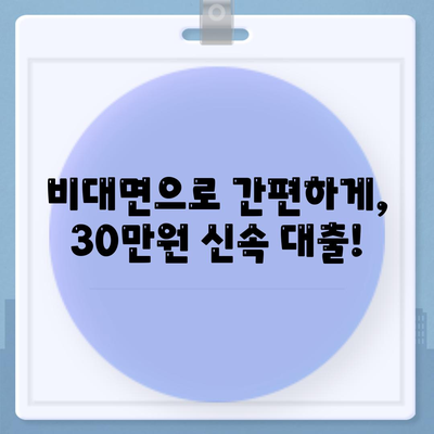 비대면 무직당일 30만원 대출