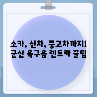 전라북도 군산시 옥구읍 렌트카 가격비교 | 리스 | 장기대여 | 1일비용 | 비용 | 소카 | 중고 | 신차 | 1박2일 2024후기