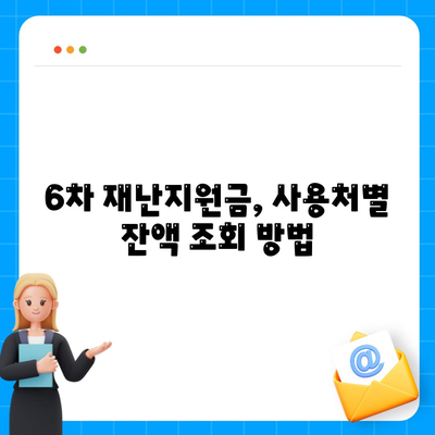 6차 재난지원금 신청 사용처 잔액조회