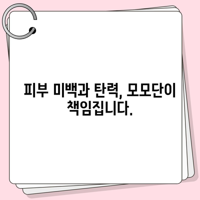 모모단 효능