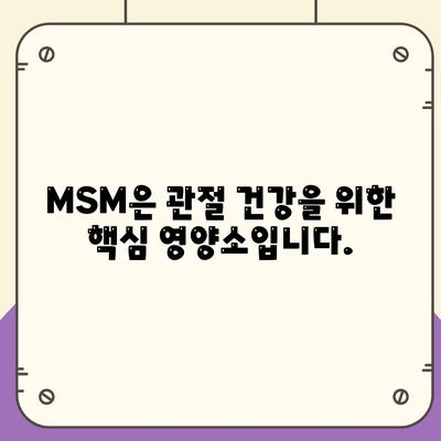 MSM 효능