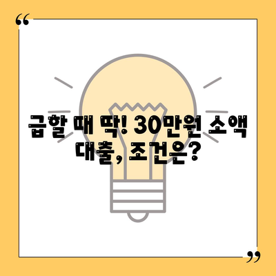 비대면 무직당일 30만원 대출