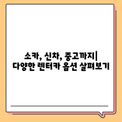 울산시 남구 신정2동 렌트카 가격비교 | 리스 | 장기대여 | 1일비용 | 비용 | 소카 | 중고 | 신차 | 1박2일 2024후기