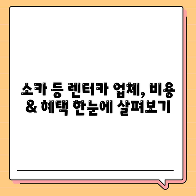 경기도 양평군 개군면 렌트카 가격비교 | 리스 | 장기대여 | 1일비용 | 비용 | 소카 | 중고 | 신차 | 1박2일 2024후기