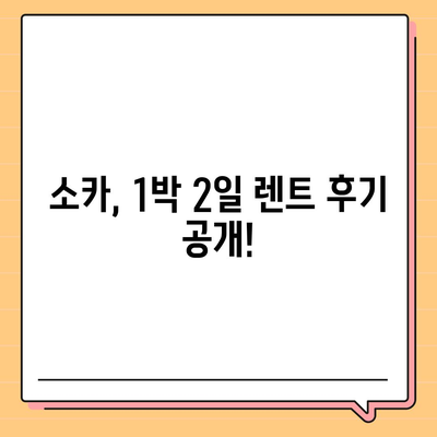 부산시 부산진구 개금2동 렌트카 가격비교 | 리스 | 장기대여 | 1일비용 | 비용 | 소카 | 중고 | 신차 | 1박2일 2024후기