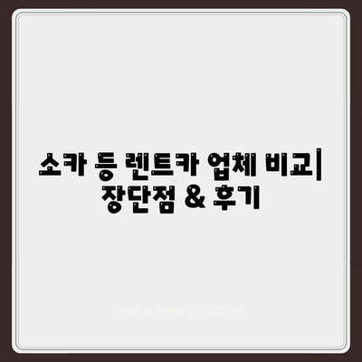 부산시 강서구 범방동 렌트카 가격비교 | 리스 | 장기대여 | 1일비용 | 비용 | 소카 | 중고 | 신차 | 1박2일 2024후기