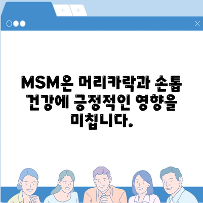 MSM 효능