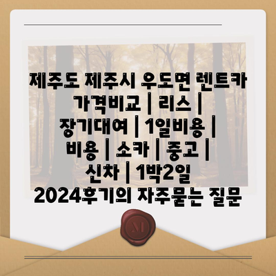 제주도 제주시 우도면 렌트카 가격비교 | 리스 | 장기대여 | 1일비용 | 비용 | 소카 | 중고 | 신차 | 1박2일 2024후기