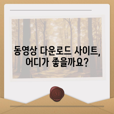 동영상 파일 다운로드