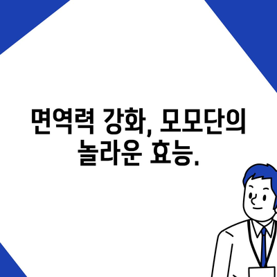 모모단 효능