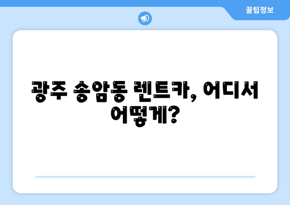 광주시 남구 송암동 렌트카 가격비교 | 리스 | 장기대여 | 1일비용 | 비용 | 소카 | 중고 | 신차 | 1박2일 2024후기