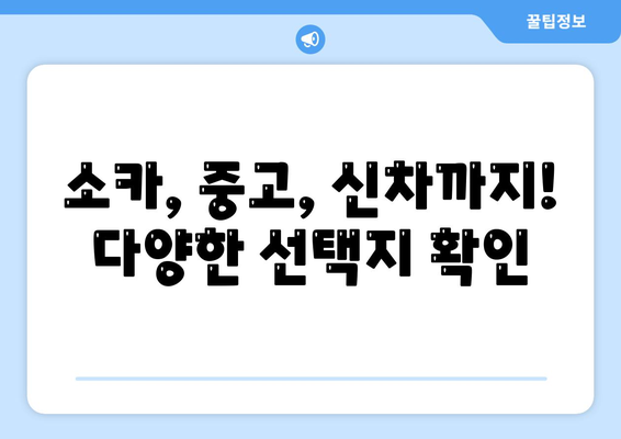 광주시 남구 백운2동 렌트카 가격비교 | 리스 | 장기대여 | 1일비용 | 비용 | 소카 | 중고 | 신차 | 1박2일 2024후기