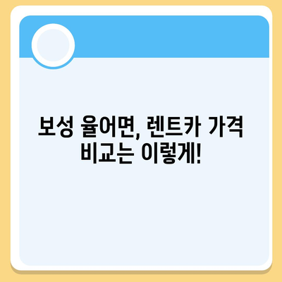 전라남도 보성군 율어면 렌트카 가격비교 | 리스 | 장기대여 | 1일비용 | 비용 | 소카 | 중고 | 신차 | 1박2일 2024후기