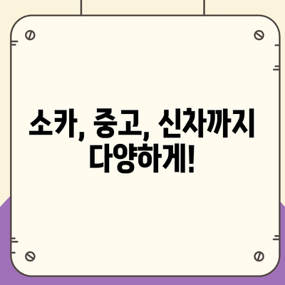 광주시 북구 문흥1동 렌트카 가격비교 | 리스 | 장기대여 | 1일비용 | 비용 | 소카 | 중고 | 신차 | 1박2일 2024후기