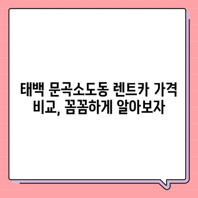 강원도 태백시 문곡소도동 렌트카 가격비교 | 리스 | 장기대여 | 1일비용 | 비용 | 소카 | 중고 | 신차 | 1박2일 2024후기