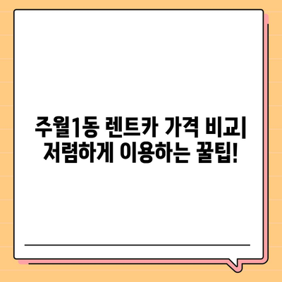 광주시 남구 주월1동 렌트카 가격비교 | 리스 | 장기대여 | 1일비용 | 비용 | 소카 | 중고 | 신차 | 1박2일 2024후기