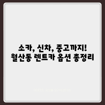 광주시 남구 월산동 렌트카 가격비교 | 리스 | 장기대여 | 1일비용 | 비용 | 소카 | 중고 | 신차 | 1박2일 2024후기