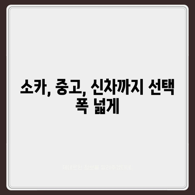 충청북도 보은군 회남면 렌트카 가격비교 | 리스 | 장기대여 | 1일비용 | 비용 | 소카 | 중고 | 신차 | 1박2일 2024후기