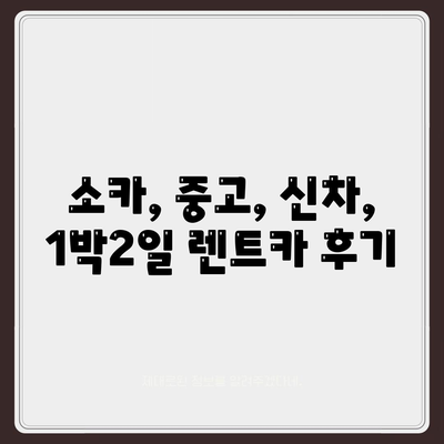 광주시 북구 매곡동 렌트카 가격비교 | 리스 | 장기대여 | 1일비용 | 비용 | 소카 | 중고 | 신차 | 1박2일 2024후기