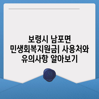 충청남도 보령시 남포면 민생회복지원금 | 신청 | 신청방법 | 대상 | 지급일 | 사용처 | 전국민 | 이재명 | 2024