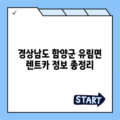 경상남도 함양군 유림면 렌트카 가격비교 | 리스 | 장기대여 | 1일비용 | 비용 | 소카 | 중고 | 신차 | 1박2일 2024후기