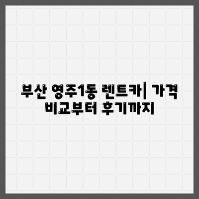 부산시 중구 영주1동 렌트카 가격비교 | 리스 | 장기대여 | 1일비용 | 비용 | 소카 | 중고 | 신차 | 1박2일 2024후기