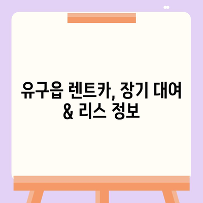 충청남도 공주시 유구읍 렌트카 가격비교 | 리스 | 장기대여 | 1일비용 | 비용 | 소카 | 중고 | 신차 | 1박2일 2024후기