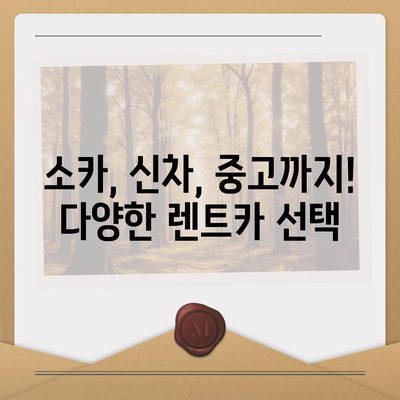 광주시 광산구 동곡동 렌트카 가격비교 | 리스 | 장기대여 | 1일비용 | 비용 | 소카 | 중고 | 신차 | 1박2일 2024후기