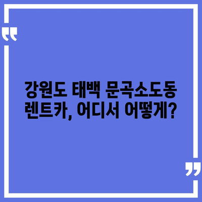 강원도 태백시 문곡소도동 렌트카 가격비교 | 리스 | 장기대여 | 1일비용 | 비용 | 소카 | 중고 | 신차 | 1박2일 2024후기