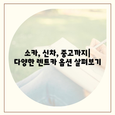 충청북도 청주시 서원구 사직1동 렌트카 가격비교 | 리스 | 장기대여 | 1일비용 | 비용 | 소카 | 중고 | 신차 | 1박2일 2024후기