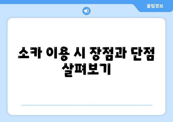 대구시 남구 대명11동 렌트카 가격비교 | 리스 | 장기대여 | 1일비용 | 비용 | 소카 | 중고 | 신차 | 1박2일 2024후기