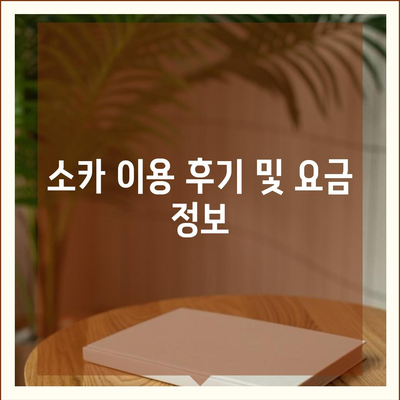 부산시 북구 화명1동 렌트카 가격비교 | 리스 | 장기대여 | 1일비용 | 비용 | 소카 | 중고 | 신차 | 1박2일 2024후기