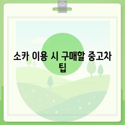 서울시 은평구 불광제2동 렌트카 가격비교 | 리스 | 장기대여 | 1일비용 | 비용 | 소카 | 중고 | 신차 | 1박2일 2024후기