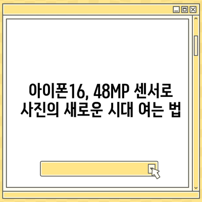 아이폰16 카메라 | 새로운 48MP 센서로 해상도 향상