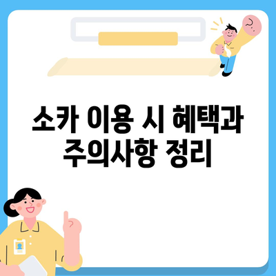 전라북도 임실군 강진면 렌트카 가격비교 | 리스 | 장기대여 | 1일비용 | 비용 | 소카 | 중고 | 신차 | 1박2일 2024후기