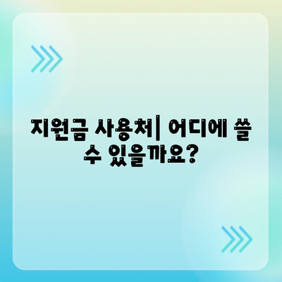 광주시 남구 월산4동 민생회복지원금 | 신청 | 신청방법 | 대상 | 지급일 | 사용처 | 전국민 | 이재명 | 2024