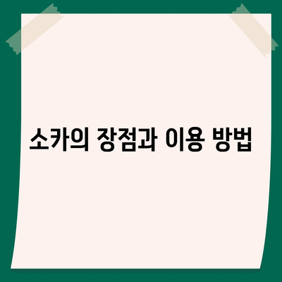 충청남도 서산시 운산면 렌트카 가격비교 | 리스 | 장기대여 | 1일비용 | 비용 | 소카 | 중고 | 신차 | 1박2일 2024후기