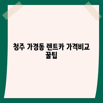 충청북도 청주시 흥덕구 가경동 렌트카 가격비교 | 리스 | 장기대여 | 1일비용 | 비용 | 소카 | 중고 | 신차 | 1박2일 2024후기