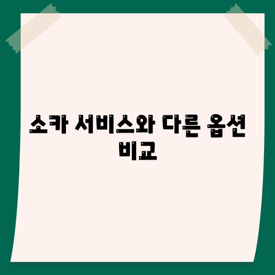 경기도 남양주시 다산1동 렌트카 가격비교 | 리스 | 장기대여 | 1일비용 | 비용 | 소카 | 중고 | 신차 | 1박2일 2024후기