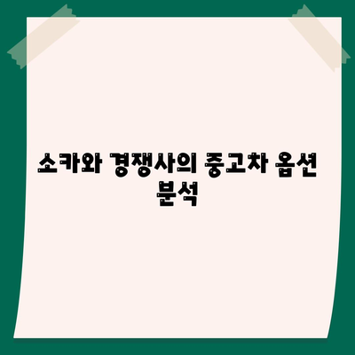 서울시 성북구 길음1동 렌트카 가격비교 | 리스 | 장기대여 | 1일비용 | 비용 | 소카 | 중고 | 신차 | 1박2일 2024후기