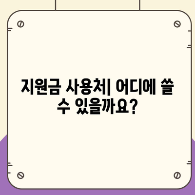 광주시 북구 오치2동 민생회복지원금 | 신청 | 신청방법 | 대상 | 지급일 | 사용처 | 전국민 | 이재명 | 2024