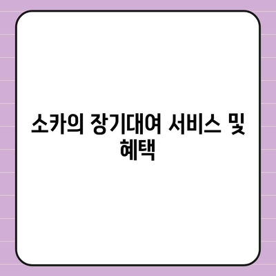 경기도 하남시 감북동 렌트카 가격비교 | 리스 | 장기대여 | 1일비용 | 비용 | 소카 | 중고 | 신차 | 1박2일 2024후기