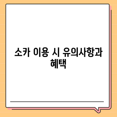 울산시 울주군 서생면 렌트카 가격비교 | 리스 | 장기대여 | 1일비용 | 비용 | 소카 | 중고 | 신차 | 1박2일 2024후기