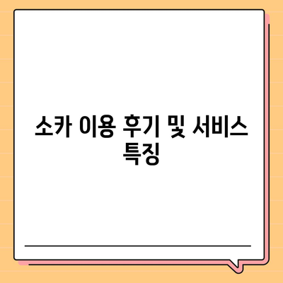 부산시 사하구 괴정1동 렌트카 가격비교 | 리스 | 장기대여 | 1일비용 | 비용 | 소카 | 중고 | 신차 | 1박2일 2024후기