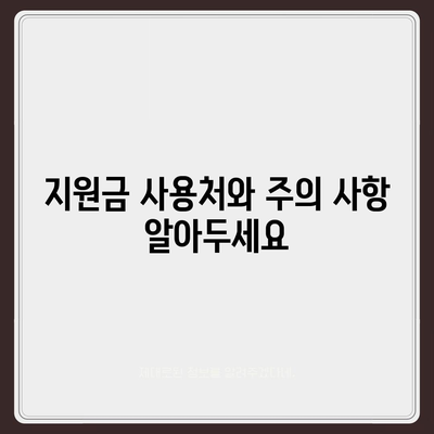 대전시 서구 탄방동 민생회복지원금 | 신청 | 신청방법 | 대상 | 지급일 | 사용처 | 전국민 | 이재명 | 2024